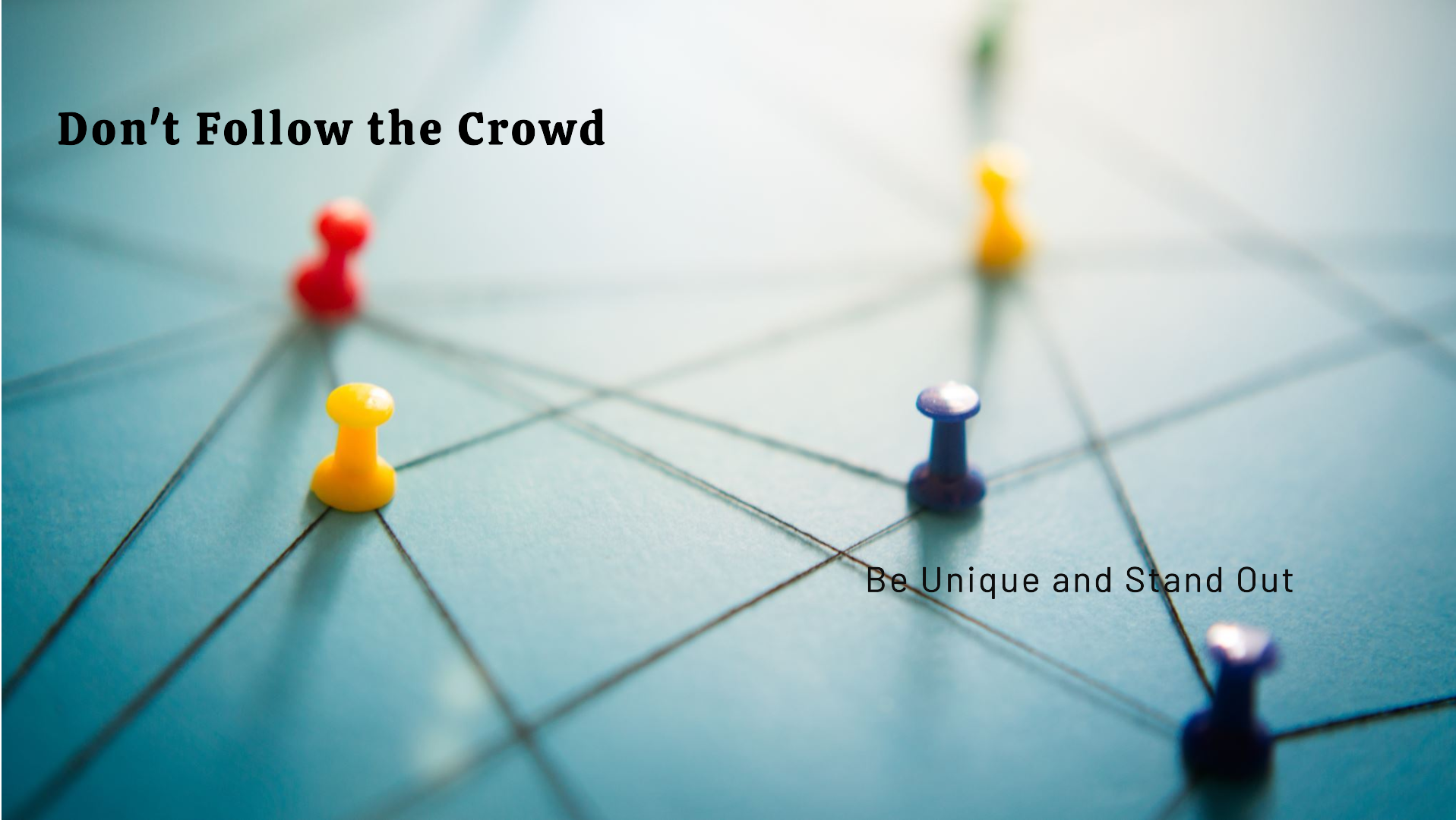 Why Following the Herd Leads You Nowhere